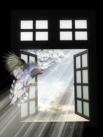 fly to bright futureの写真素材