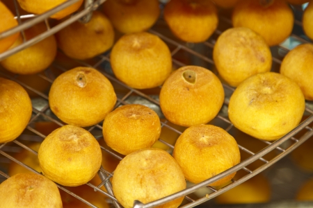 many yellow orange persimmons Under the sunlightの写真素材