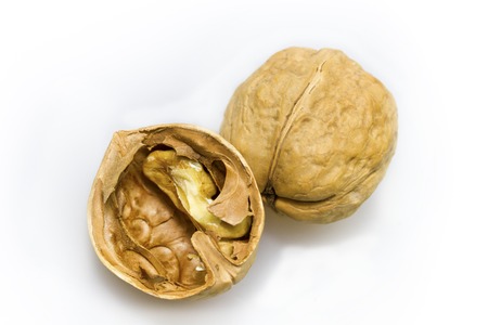 many Walnuts on white background,(Juglans regia)の写真素材