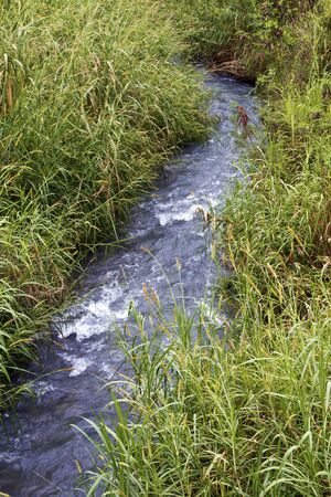 Canal supply water in irrigationの写真素材