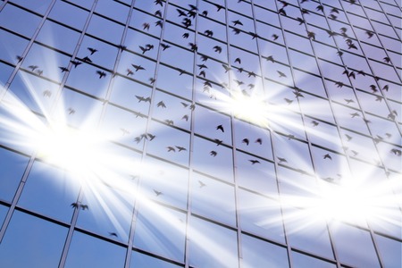 birds in flight reflect on blue building glass with bright white light,open the secret of lifeの写真素材