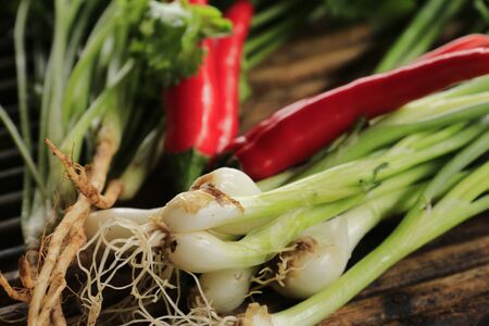 vegetableの写真素材