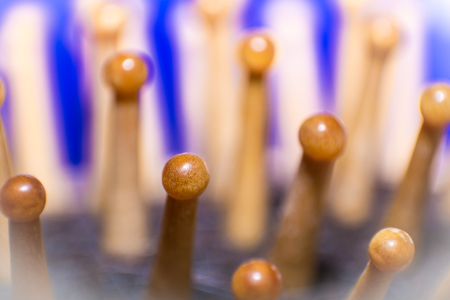 comb wooden haircare brush brown blue backgroundの写真素材