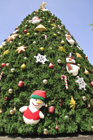 Christmas big trees in thailandの写真素材