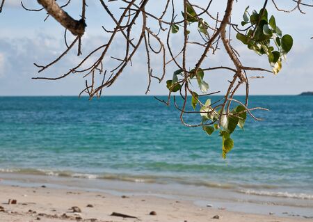 Nang Rong Beach Chonburi Thailand.の写真素材