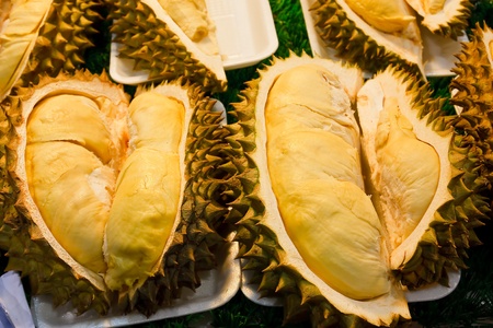 Thai durian.の写真素材