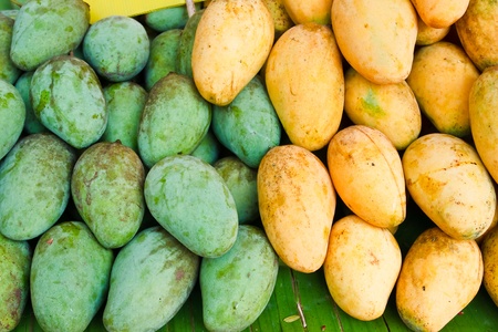 Mangoes in the market.の写真素材