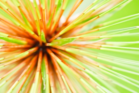 grass blur textureの写真素材