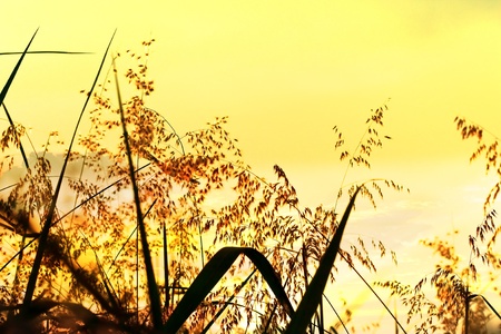 Patterns in the sky.の写真素材