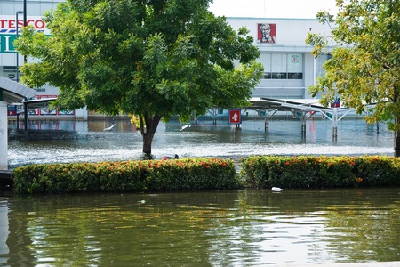 Bangkok, Thailand - November 14: Home shopping Lotus. Nava Nakorn Industrial Park is in high flood, November 14, 2011 at Nava Nakorn Industrial Park. Bangkok This is the worst flood in the history of Thailand.のeditorial素材