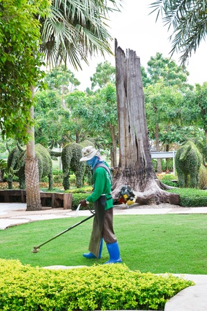 Cutting grass in garden 