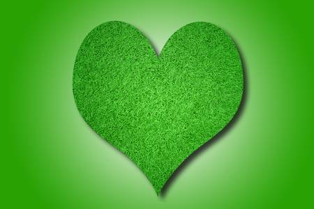 Heart grass.の写真素材