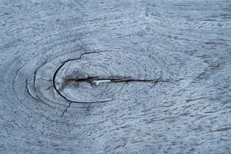 wood texture