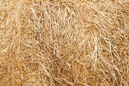 Straw texture backgroundの写真素材