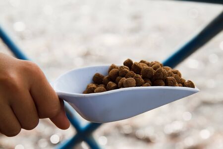 Pellet fish food の写真素材