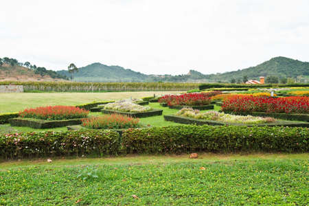 Floral landscaping の写真素材