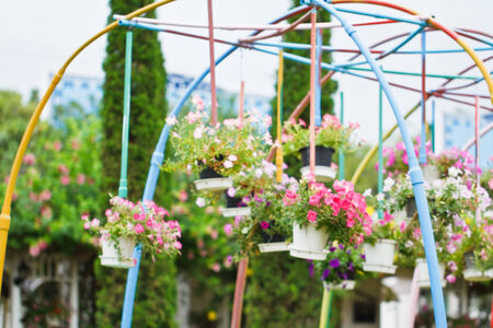 pannier flowersの写真素材