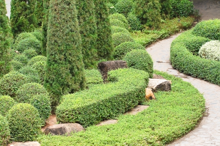 green gardenの写真素材