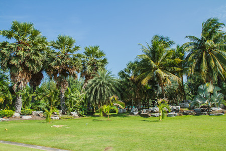 flower gardenの写真素材