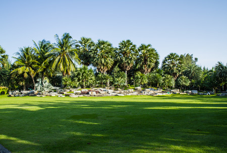  gardenの写真素材