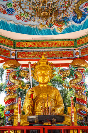 God Naja in Thailandのeditorial素材