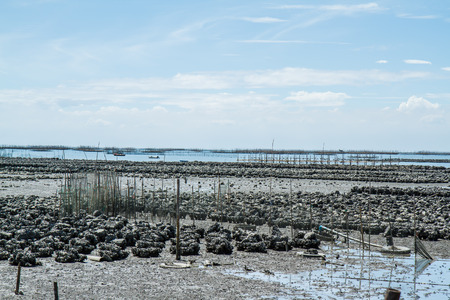 Oyster farm Ban Ang Sila, Thailandの写真素材