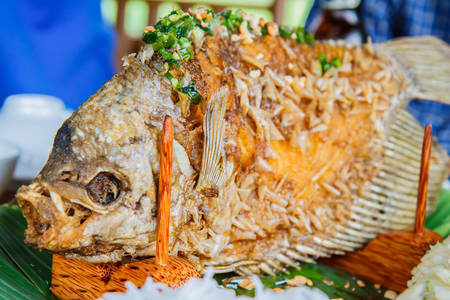 Fried fish prepared in the traditional Vietnameseの写真素材