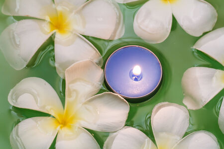 Plumeria flowers scented candlesの写真素材