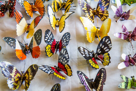 Handmade butterflyの写真素材