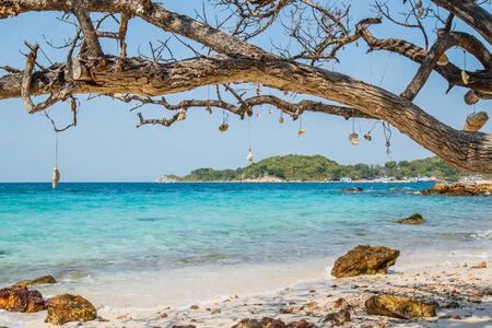 pattaya beach in Koh Larn,Thailandの写真素材