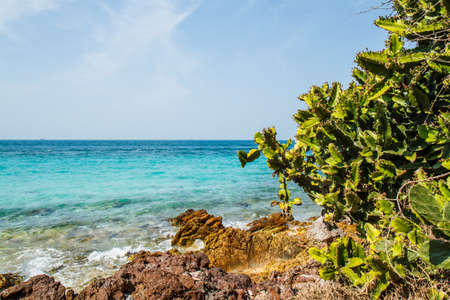 pattaya beach in Koh Larn,Thailandの写真素材