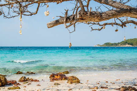 pattaya beach in Koh Larn,Thailandの写真素材