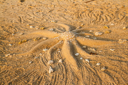 Starfish on the beach sand sculpture