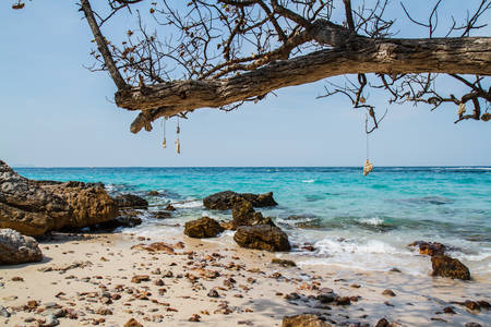 pattaya beach in Koh Larn,Thailandの写真素材