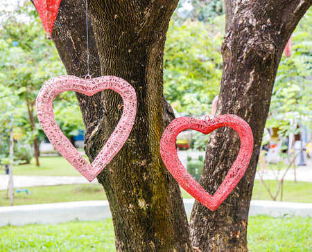 Heart hanging on a treeの写真素材