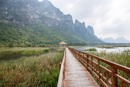 Khao Sam Roi Yod National Park, Thailand.の写真素材