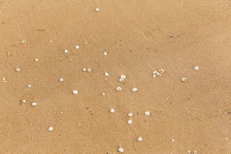 sand beach background