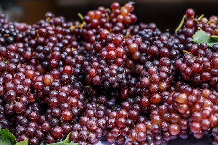 Purple grapes close upの写真素材