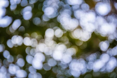 Bokeh of light through leavesの写真素材