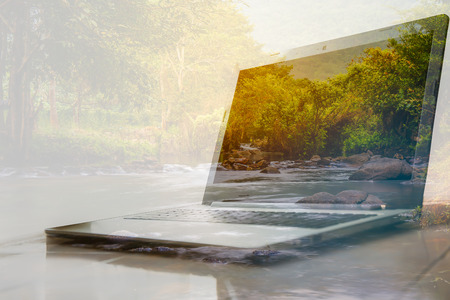 double exposure laptop and coffee cup with blur gill in forest backgroundの写真素材