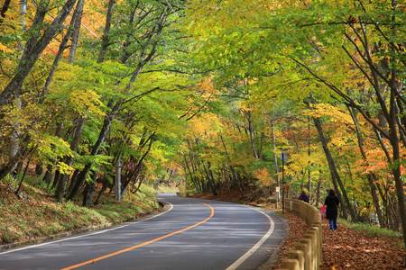 Nikko and the area around Lake, in particular, are well known for their beautiful autumn colorsの写真素材