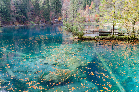 Blausee. One of the best-known mountain lakes in Switzerland. Beautiful crystal-clear color water with green tree around the lake.の写真素材