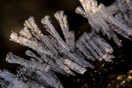 ICINGの写真素材