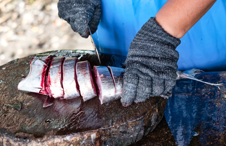 A fish seller uses sharp knife slicing fresh fish for customerの写真素材