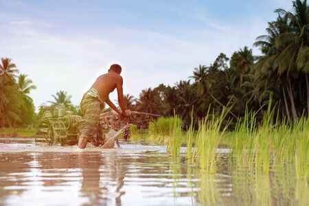 Farmer plowing a rice field. Thailand. with sun lightの写真素材