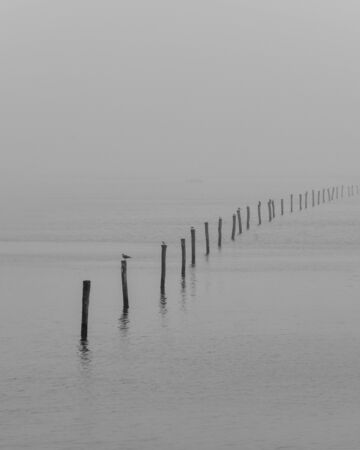 Lake on Valle di Comacchioの写真素材