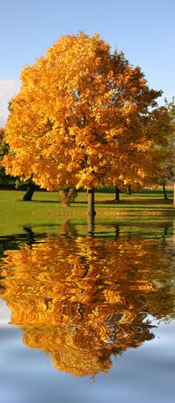 Autumnal Reflectionsの写真素材