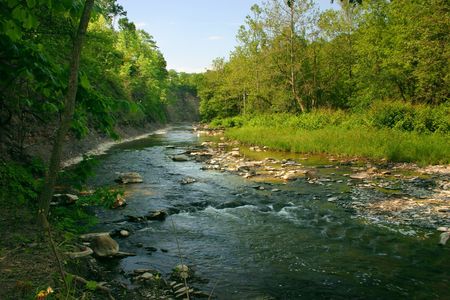 Creekbed on a beautiful dayの写真素材