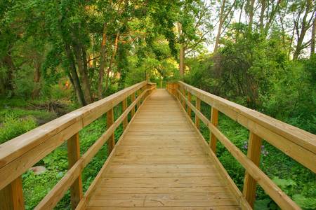 Path along a nature trailの写真素材