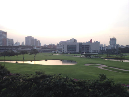 Park in cityの素材